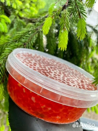 Красная икра кета оптом и в розницу