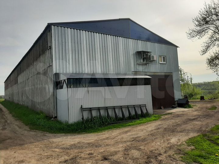 Свободного назначения, 592.3 м²