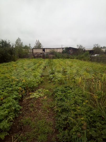 Дом 46,7 м² на участке 10 сот.