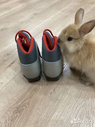 Лыжные ботинки детские 32 размер