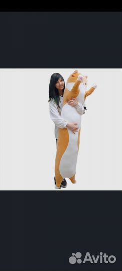 Длинные коты 2023 тренд