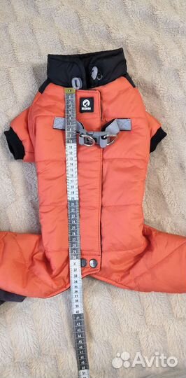 Одежда для собак