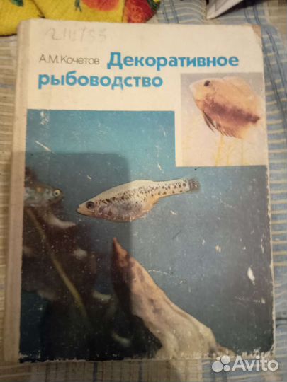 Декоративное рыбоводство