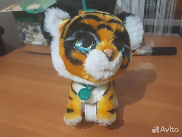 Тигрёнок на поводке