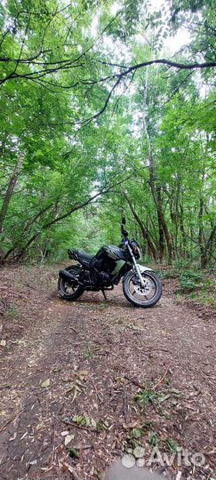 Recer nitro 250