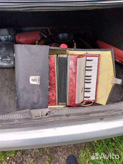 Аккордеон малыш
