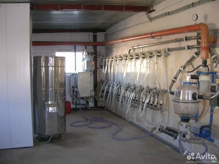 Молокопровод на 50 голов