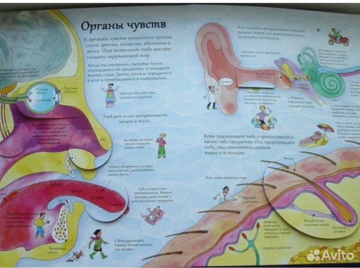 Книга для детей