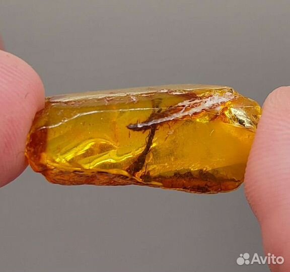 Перо и веточка / Инклюз в янтаре