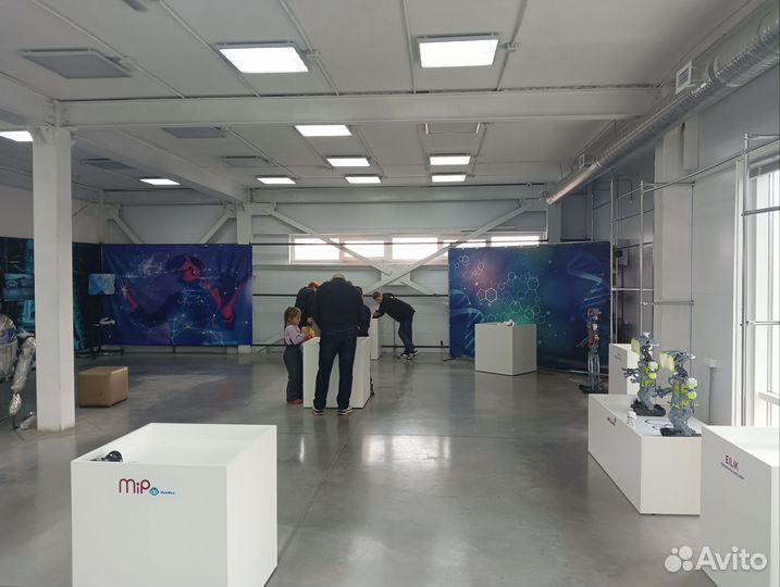 Интерактивная выставка