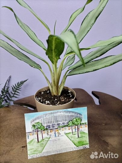 Открытки ручной работы