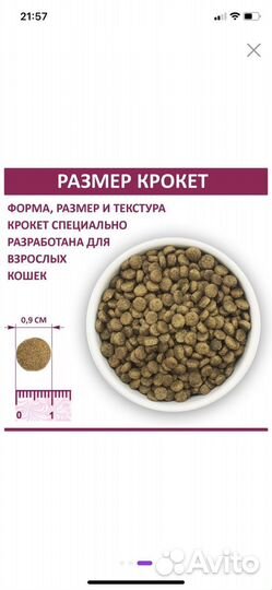 Сухой корм для кошек