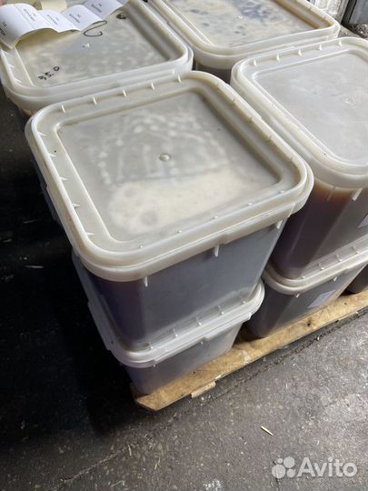 Мёд свежий оптом. Эспарцет, качка 2023г