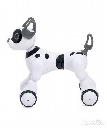 Робот-собака