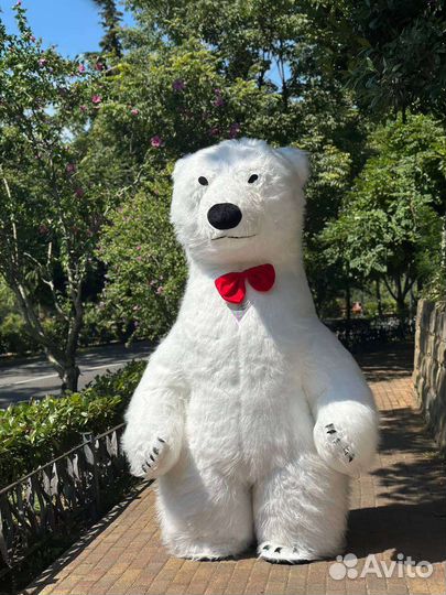 Экспресс поздравление мишка