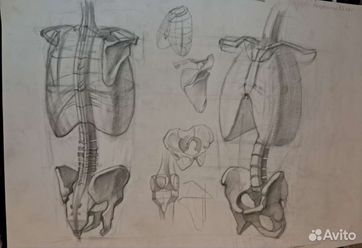 Академический рисунок