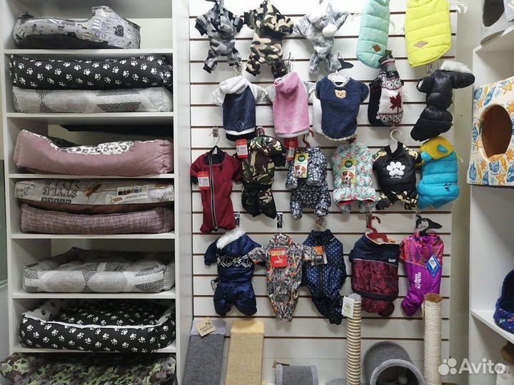 Травка для кошек