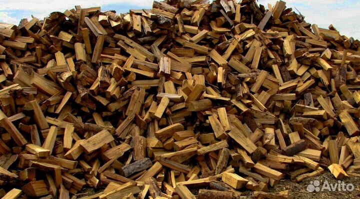 Дрова с Зеленогорска