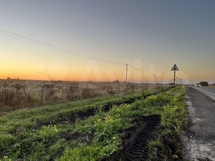 Участок 50 сот. (ИЖС)