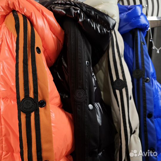 Куртка + спортивный костюм moncler adidas
