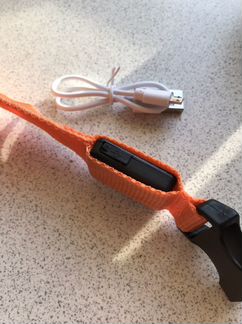 Ошейник светящийся