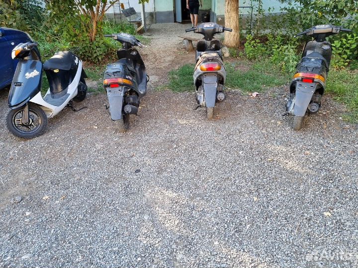 Сузуки сепия