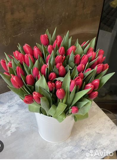 Тюльпаны оптом