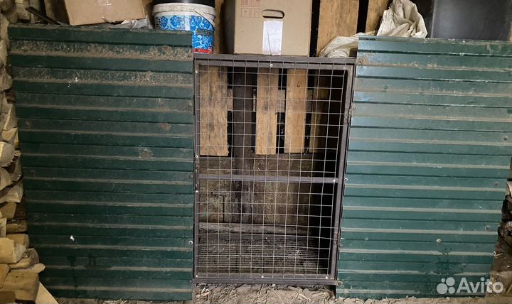 Клетка для цыплят