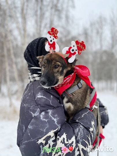 Нежная девочка очень страдает в тесной клетке