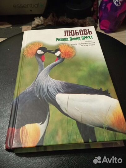 Книга Любовь