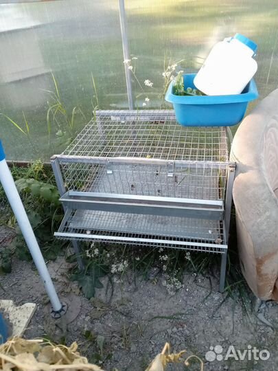 Клетка для перепелов