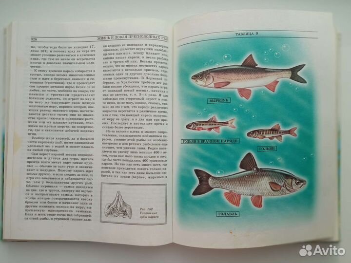 Сабанеев Жизнь и ловля пресноводных рыб