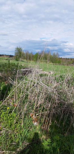 Участок 24 га (ИЖС)