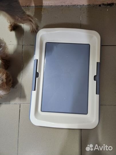 Лоток для собак под пеленку