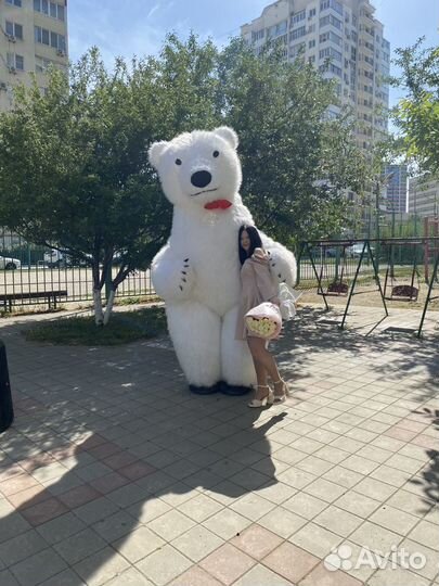 Аниматор/ поздравление от Белого медведя