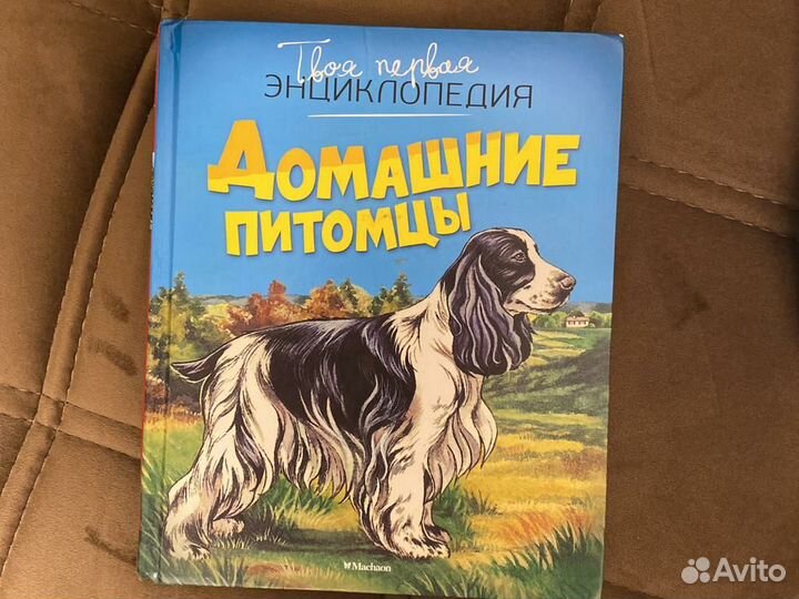 Книга Мир леса