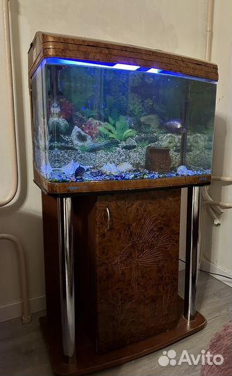 Аквариум с тумбой 143л