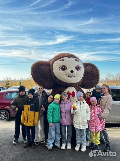 Кинг конг, белый мишка поздравление