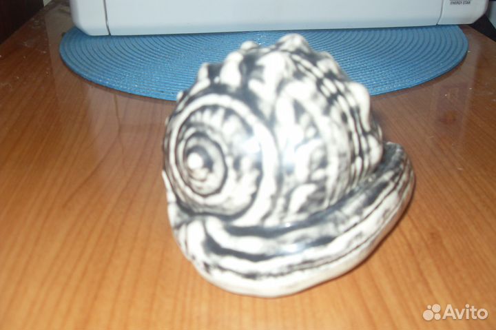 Ракушка для аквариума новая