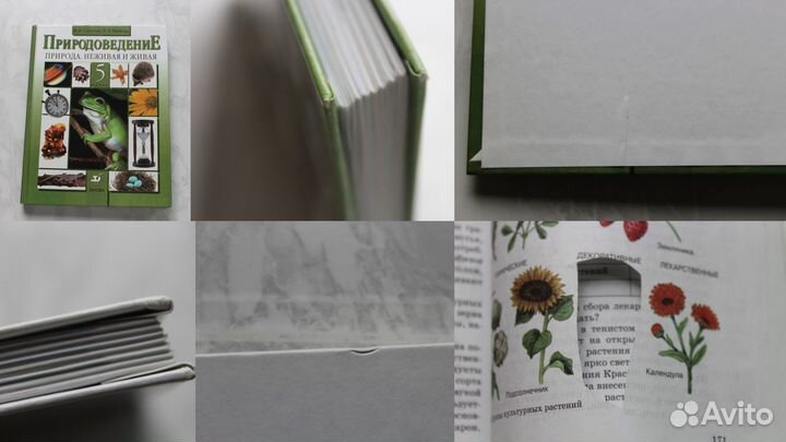 Книги учебники