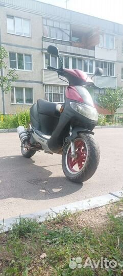 Stels skif 50