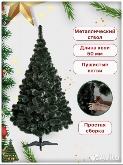 Ель Принцесса