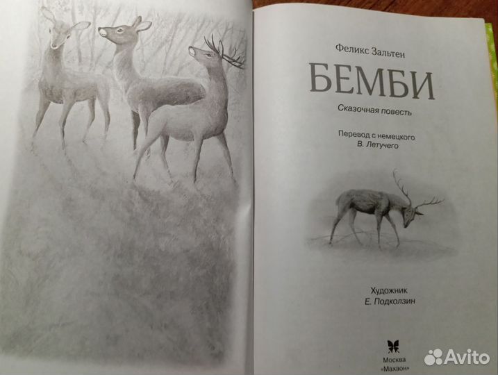 Книга Феликс Зальтен 