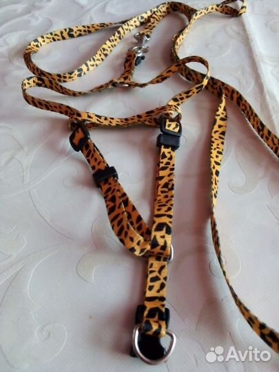 Поводок для животных