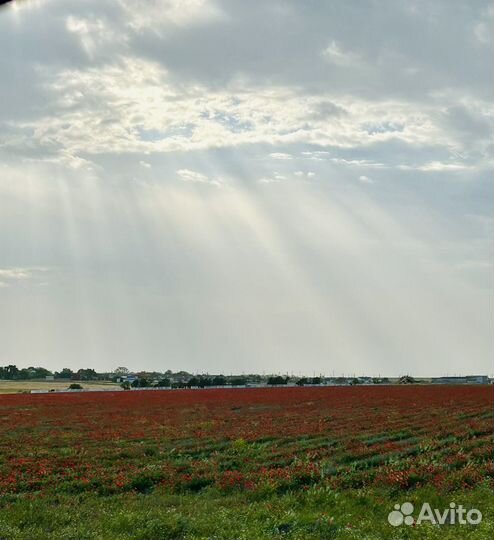 Сиделка без проживания