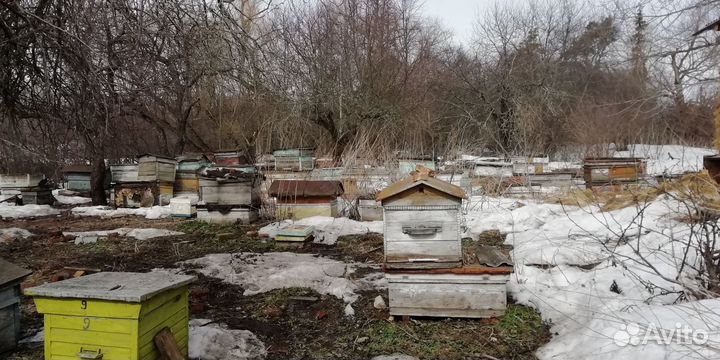 Ульи для пчел