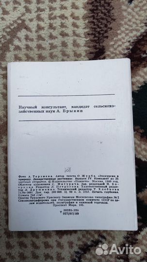 Экскурсия в природу - лекарственные растения