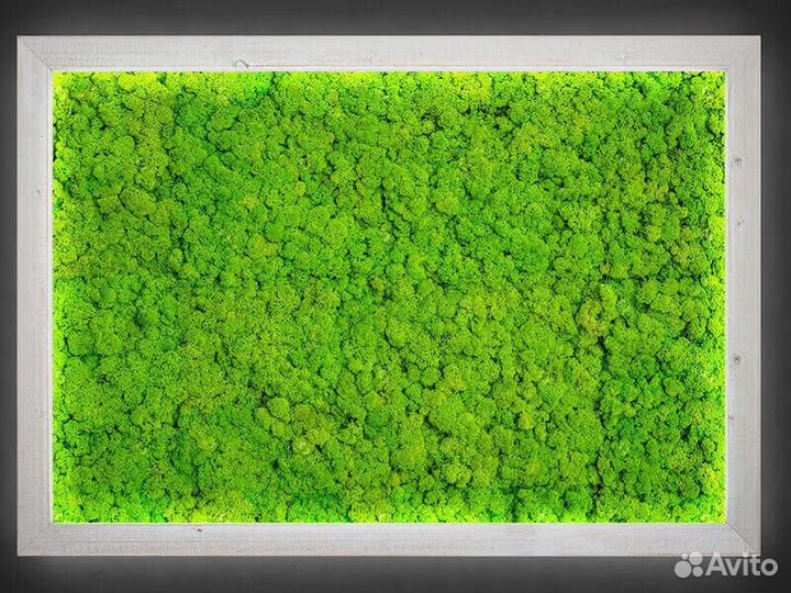 Панно панель из мха с подсветкой