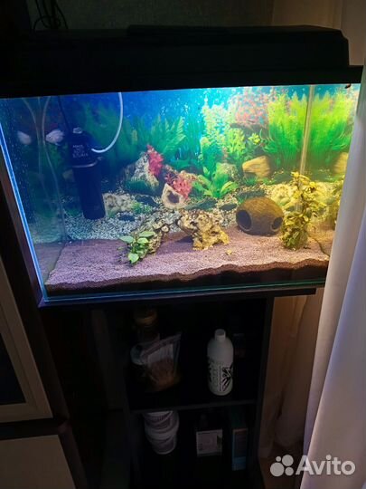 Аквариум