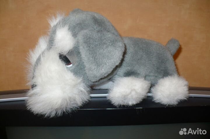 Щенки the DOG 3+